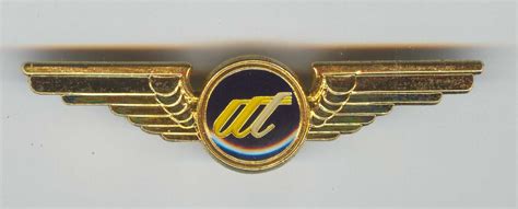 Pilot wings badge | Biker logo, Badge, Wings