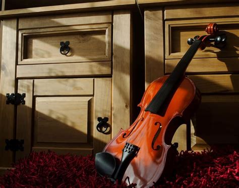 Best Violin Brands and Buying Guide - Classical Beast