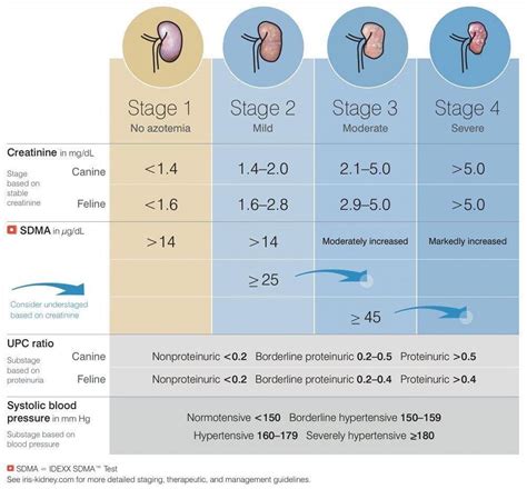 Nephrovet - Updated 2019 IRIS CKD staging system, with...