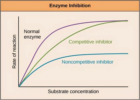 #20.Factors affecting the rate of enzyme-catalysed reactions | Biology ...