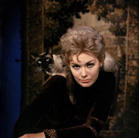 20 Lovely Photos of Kim Novak With Her Cat Pyewacket in “Bell, Book, And Candle” (1958 ...