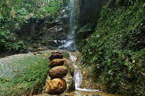 Tijuca Forest Hiking Tour Including Waterfalls: Triphobo