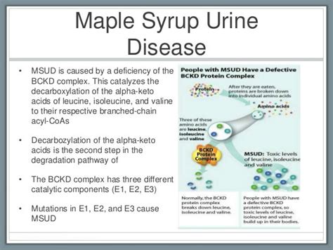 Maple Syrup Urine Disease-Causes, Symptoms And Prevention