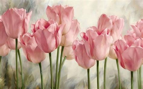 Soft pink tulips HD desktop wallpaper : Widescreen : High Definition : Fullscreen