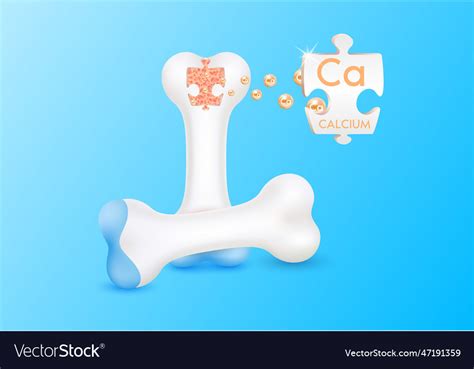 Healthy bone anatomy Royalty Free Vector Image