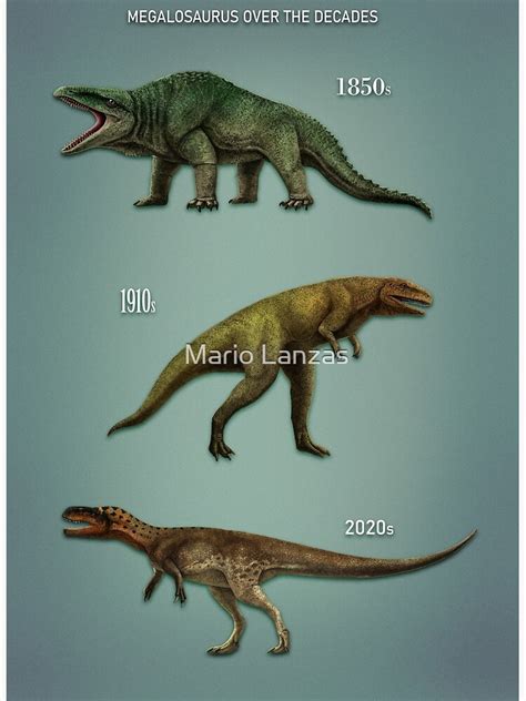 "MEGALOSAURUS over the years . vintage vs current" Poster for Sale by ...