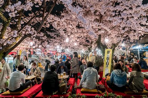 The Uniqueness of Japanese Consumers: Business Opportunities During Japan's Cherry Blossom ...