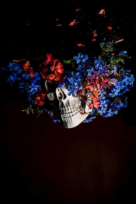 Cheech Sanchez (thecheechsanchez) Vanitas Vanitatum, Still Life Artists ...