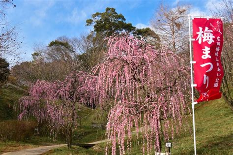 Hidden Hot Spring Resort Near Osaka – A Travelogue of The Awaji Island ...