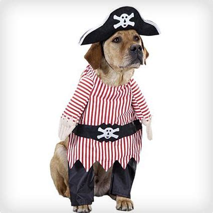 Pet-Pirate-Dog-Costume - Costume Yeti