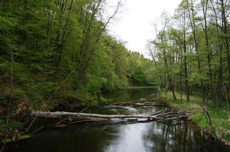 Drawa National Park: Main information | Poland - Guide