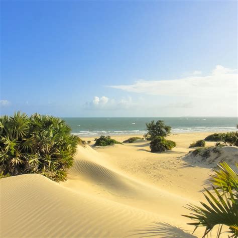 Lamu Island travel - Lonely Planet | Kenya, Africa