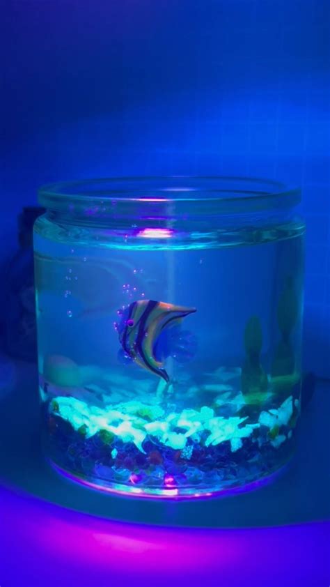 Glow in the dark fish tank candle 😍Charge with a UV light for the ...