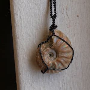 Opalized Ammonite Pendant Ammonite Fossil Necklace Opalized Ammonite ...