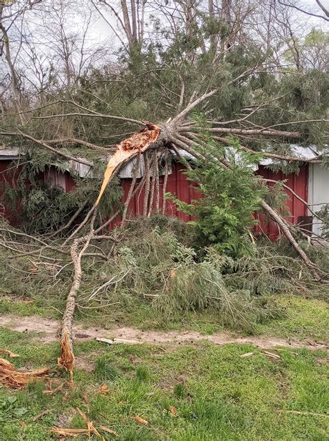 PHOTOS: High winds, storms cause damage across Middle Tennessee