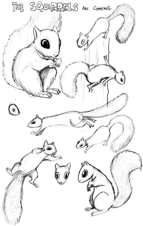 284 best images about SQUIRRELS- SKETCHES on Pinterest | Wood burning ...