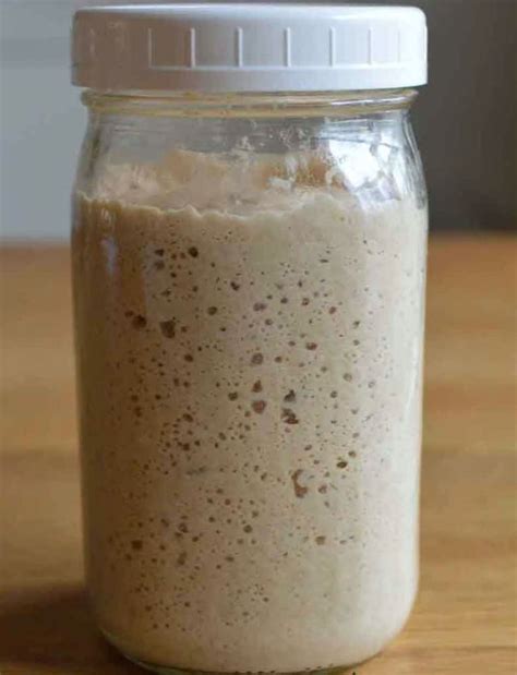 Whole Wheat Sourdough Starter 32 Grams - Etsy