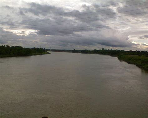 Fishes of the River Halda | BdFISH Feature