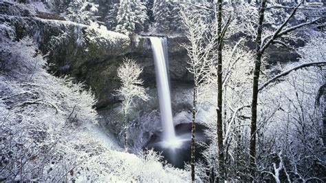 Snowy Forest Wallpapers - Wallpaper Cave