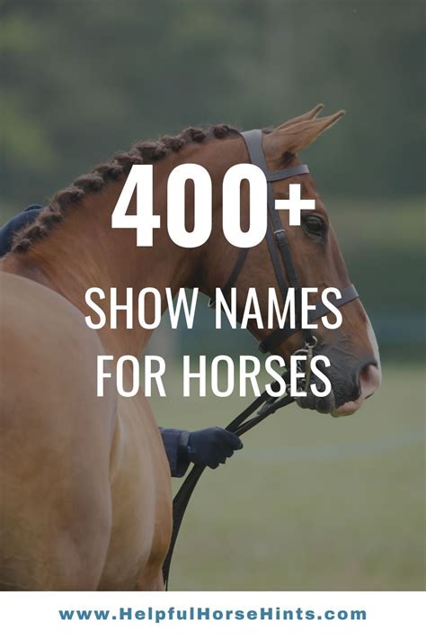 481 Show Name Ideas for Your Horse | Best horse names, Horse show names ...