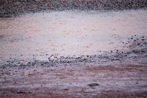 Free photo: Muddy puddle in hard rain - Day, Photo, Seasonal - Free Download - Jooinn