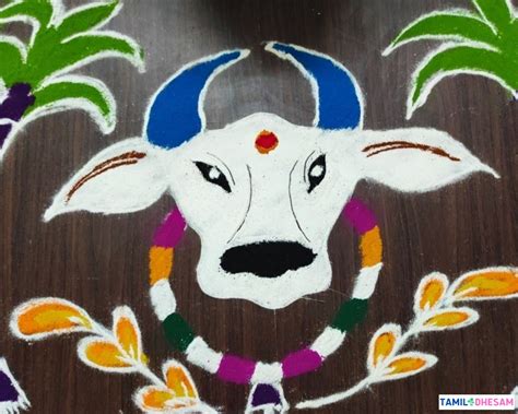 mattu pongal kolam / மாட்டு பொங்கல் கோலம்