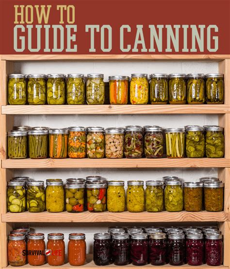 Complete Guide to Canning | Survival Life