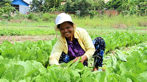 Cambodian Agriculture in Transition: Opportunities and Risks