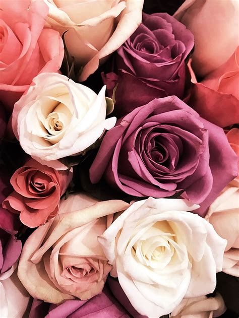 HD wallpaper: flowers, bouquet, pink, rose, roses, wedding, boho, mauve, purple | Wallpaper Flare