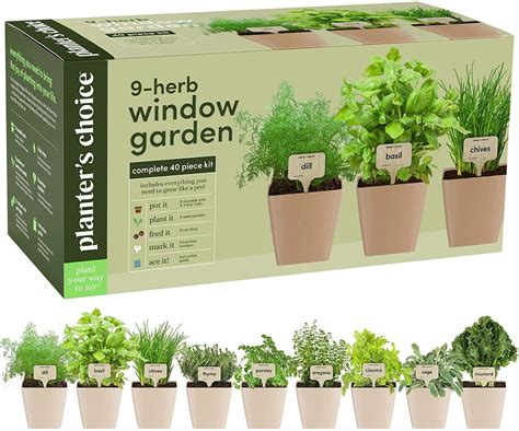 Window Herb Garden - Indoor 9 Herb Starter Kit - Unique Gardening Gifts ...