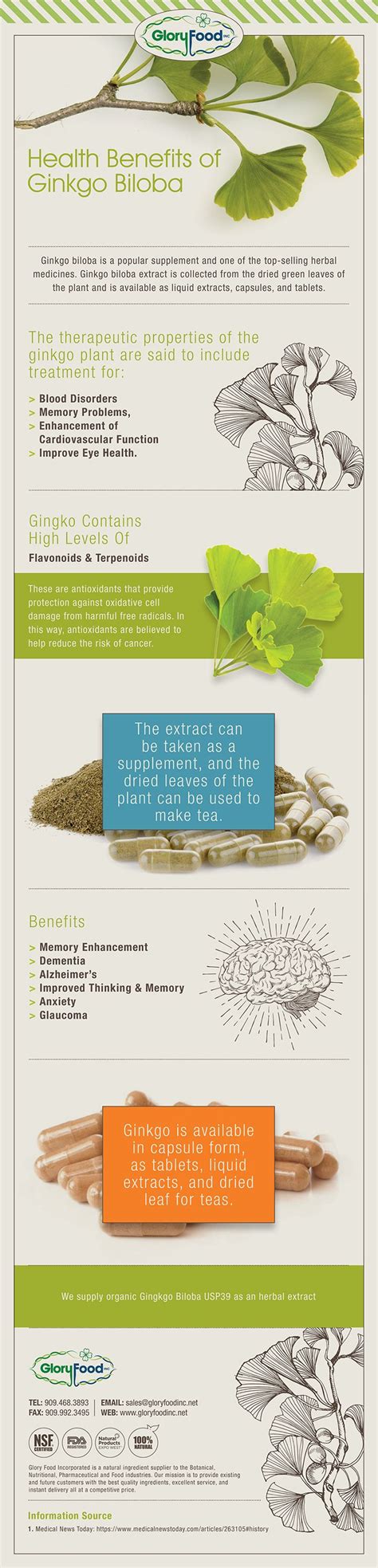 Health Benefits of Ginkgo Biloba | Ginkgo biloba, Health benefits, How to make tea