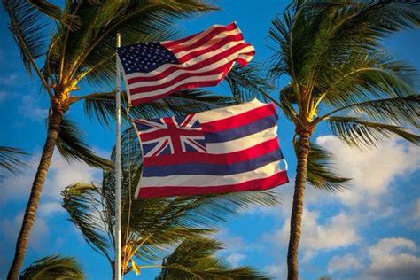 Native Hawaiians may establish their own government | Hawaii flag, Hawaiian history, Hawaiian flag