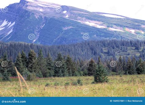 Alaska Landscape Mountains & Forest Stock Image - Image of alaskan ...