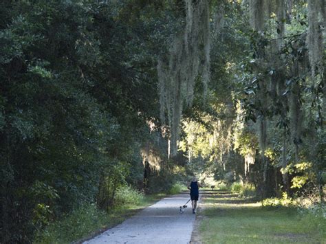 Visit Alachua County's State Parks, Trails, and Historic Sites - Visit ...