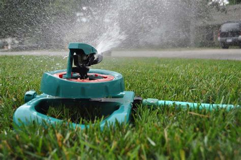 How Often to Water Grass Seed - Grass Pad