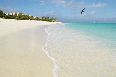 Eagle Beach: Aruba Attractions Review - 10Best Experts and Tourist Reviews