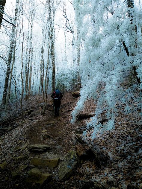 Springer mountain via Appalachian trail 3-4-19 : r/hiking