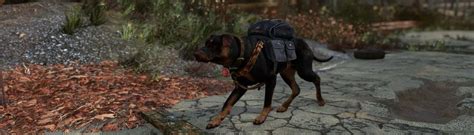 Provisioners New Dog at Fallout 4 Nexus - Mods and community