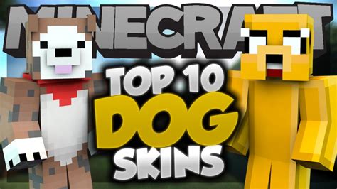 Top 10 Minecraft DOG SKINS! - Best Minecraft Skins - YouTube