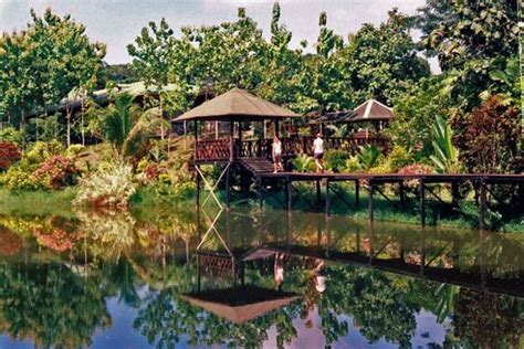 Sepilok Forest Edge Resort | Jungle resort, Resort, Vacation places