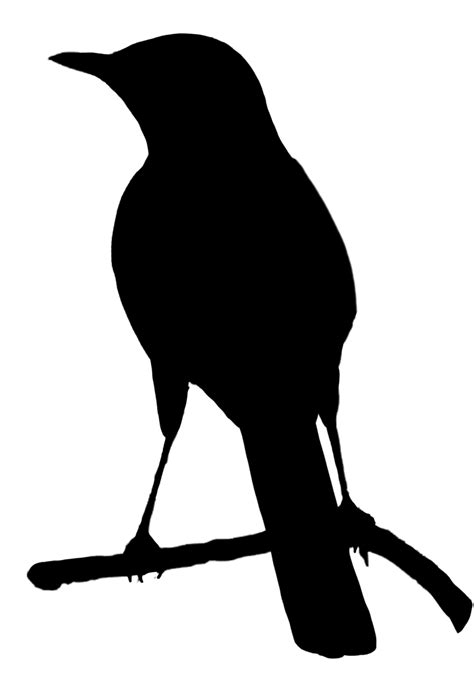 Bird silhouette, Silhouette art, Silhouette clip art