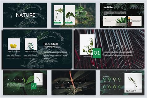 Nature - Google Slides Presentation (320535) | Presentation Templates | Design Bundles