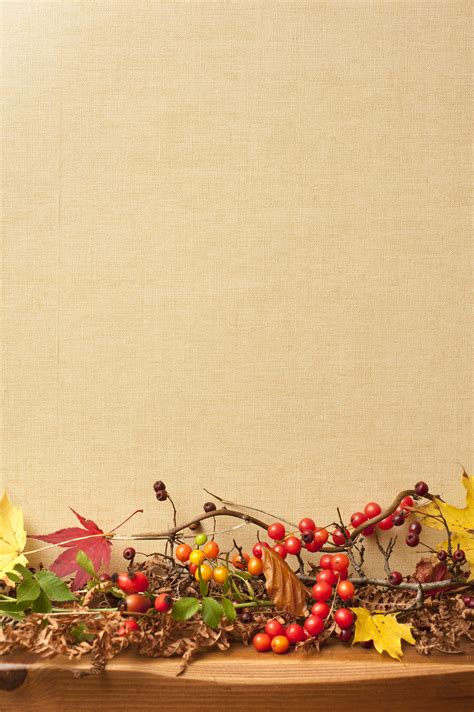 Image of Autumn still life of berries and leaves | CreepyHalloweenImages