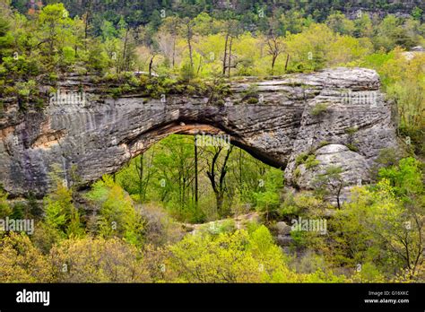 Big South Fork National River and Recreation Area Stock Photo - Alamy