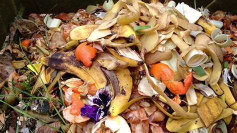 People Waste More Food If They Have the Option to Compost It | Mental Floss