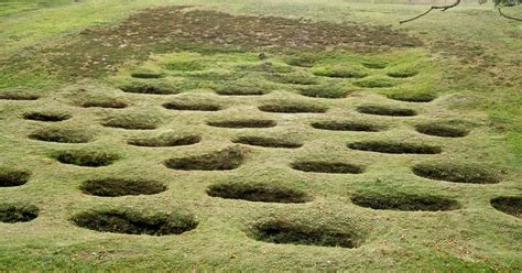 Antonine Wall: Rough Castle | Historic Environment Scotland | HES