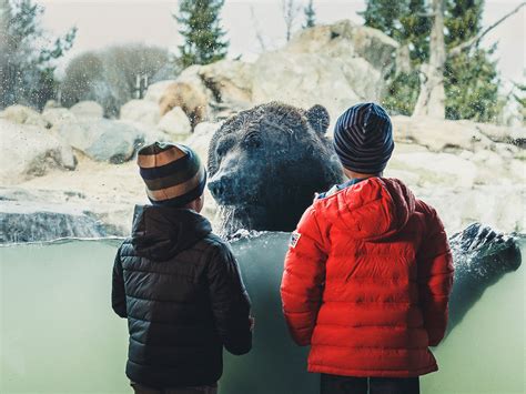 Minnesota Zoo: Where Amazing Lives. Every Day. - Adventure Creative