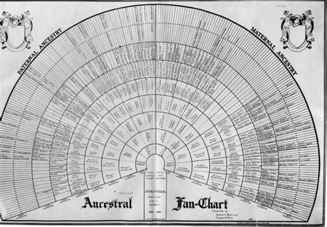 Ancestral Fan Chart - Perry Family Tree | Springfield Museums