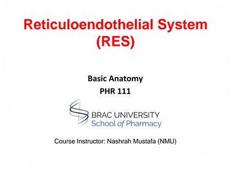 SOLUTION: Anatomy reticuloendothelial system - Studypool