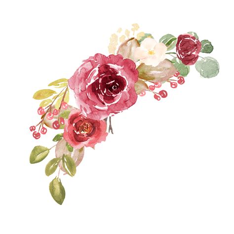 Watercolor Flower PNG Transparent Images - PNG All